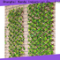 best-selling ivy privacy fence producer