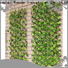 Kenda eco-friendly artificial leaf trellis producer