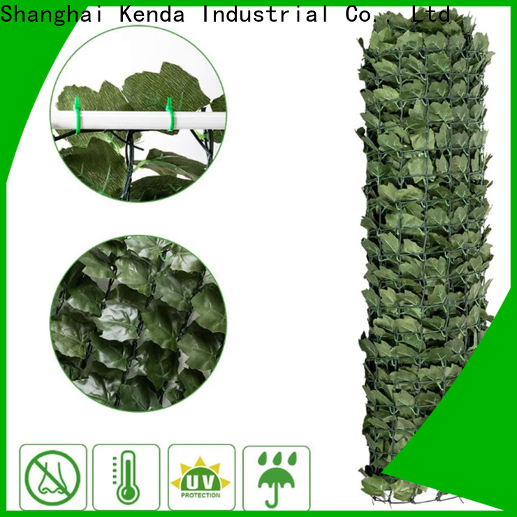 100% quality green wall exclusive deal