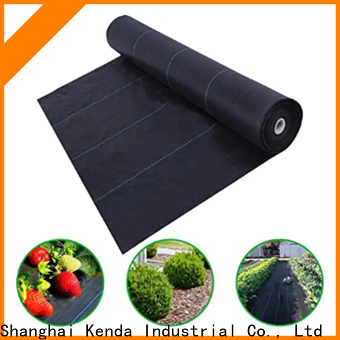famous pp ground cover factory