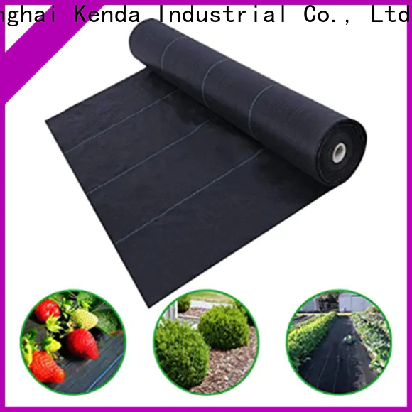 cheap pp ground cover from China