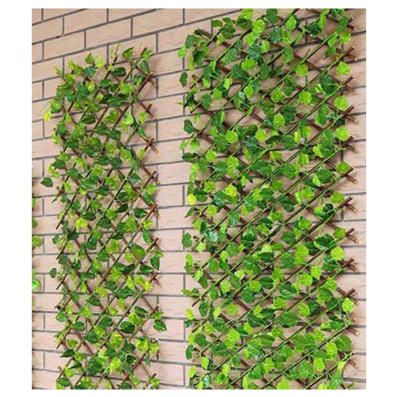 Expandable Trellis Fence With Leaf